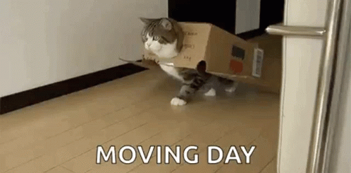 Brook is moving house